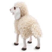 Wollig Schaap Wollig Schaap