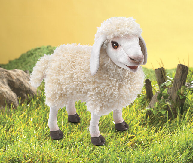 Wollig Schaap Wollig Schaap