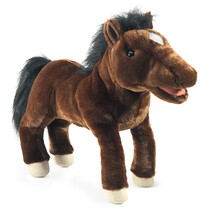 PAARD / paard