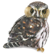 Dwerguil / Sperlingskauz