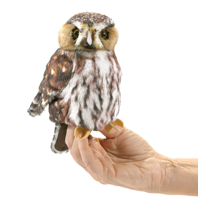 Dwerguil / Sperlingskauz