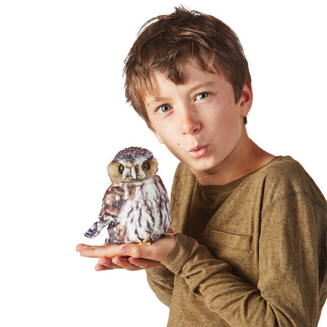 Dwerguil / Sperlingskauz