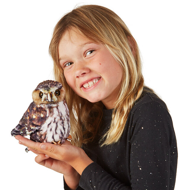 Dwerguil / Sperlingskauz