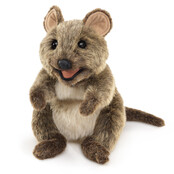 Quokka/Kortstaartkangoeroe Quokka/Kortstaartkangoeroe