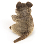 Quokka/Kortstaartkangoeroe Quokka/Kortstaartkangoeroe