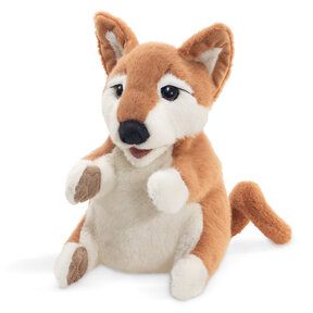 Shibu Inu Puppy / Japanse hond