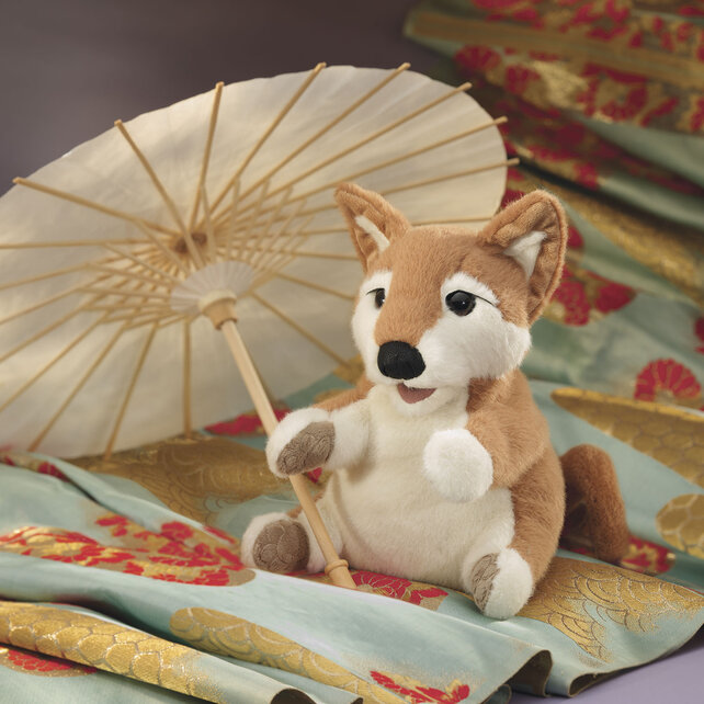 Shibu Inu Puppy / Japanse hond