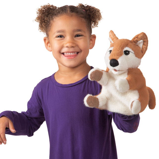 Shibu Inu Puppy / Japanse hond