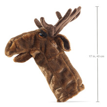 Eland Podium Pop / Eland