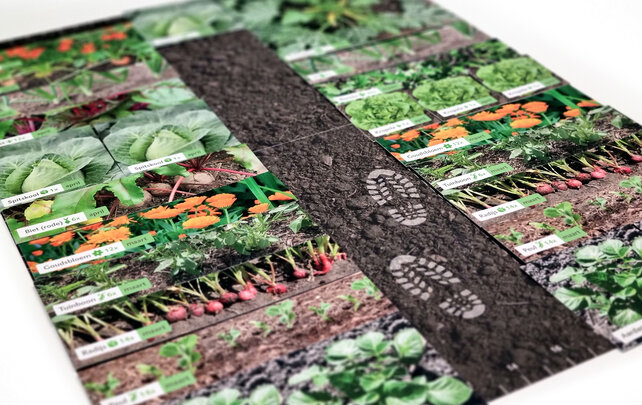 MoestuinMaat - Ontwerp je eigen groentetuin