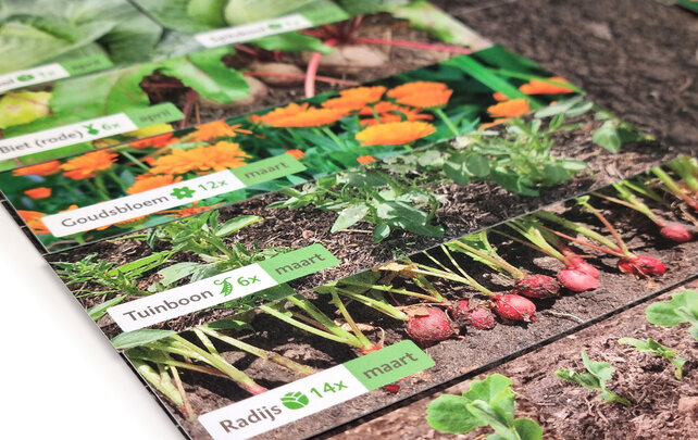 MoestuinMaat - Ontwerp je eigen groentetuin