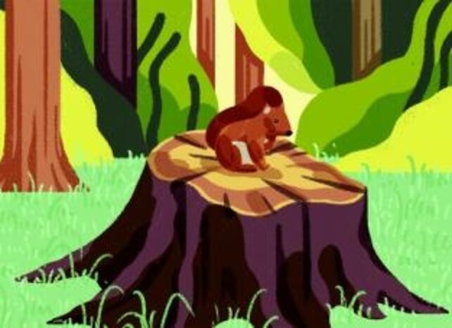 Daybreak (Engelstalig)