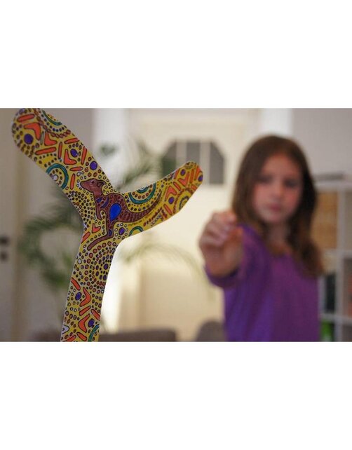 MyFibo - Indoor Boomerang MyFibo - Indoor Boomerang