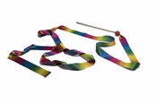 Danslint regenboog ' Dance Ribbon'