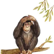 Welterusten, slaap lekker! - Slaapkaartjes