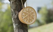 Wilde bijenhuis Bloem CeraNatur set van 3 stuks