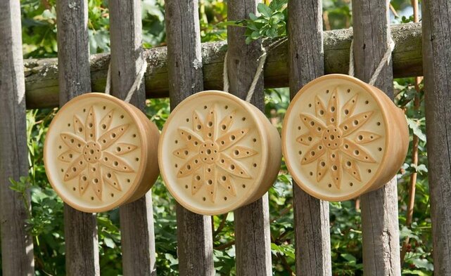 Wilde bijenhuis Bloem CeraNatur set van 3 stuks