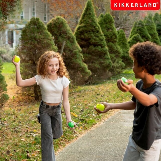Huckleberry Reusable Water Balls