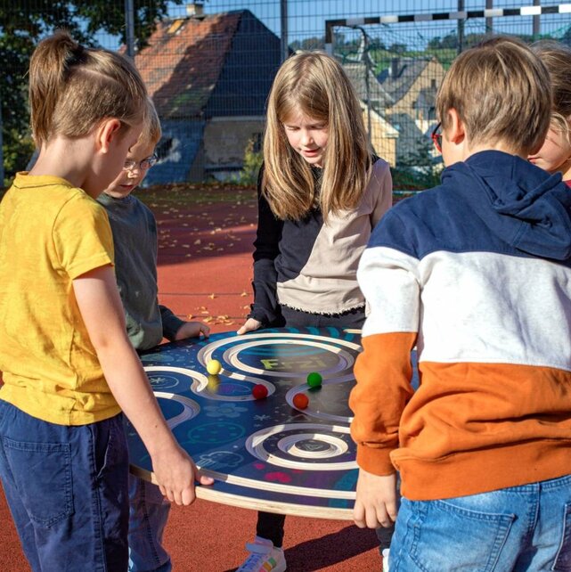 Team Disc - Groepsbalanceerspel