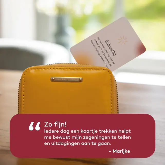 Affirmatiedeck - 110 affirmaties voor motivatie, inspiratie en transformatie