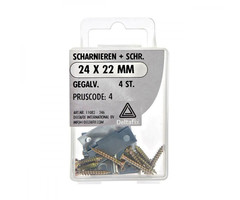 Deltafix 10 stuks Deltafix Scharnier 24x22mm Gegalvaniseerd Set 4st