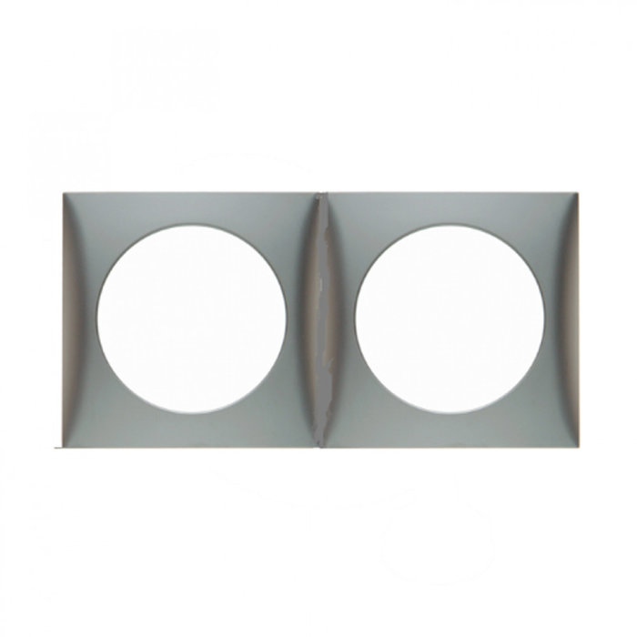 Berker Berker Afdekraam Flow 2-Vaks RVS Mat Gelakt