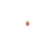 FjordOutdoor Hoekverbinder rond afdekkap licht bruin à 4 stuks