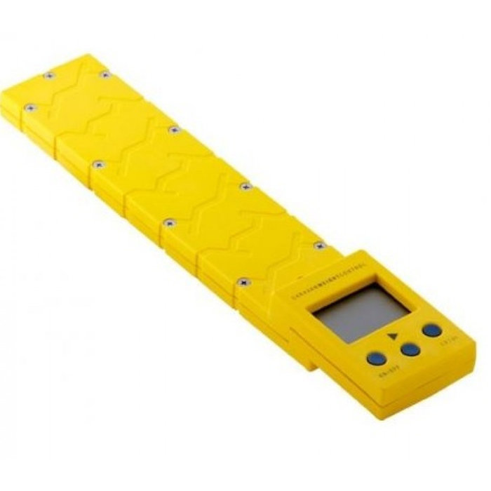 Reich Reich Caravanweger 1000kg Geel