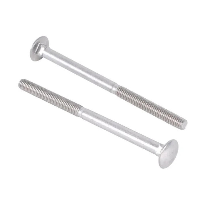 Fiamma Fiamma Carry-Bike Schroeven M6x95 2st