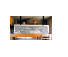 Dometic Dometic Veiligheidsnet 180x58cm