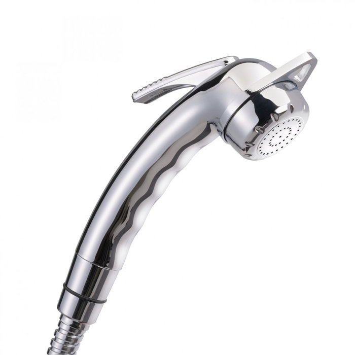 Reich Reich Douchekop Charisma Chroom zonder Doucheslang