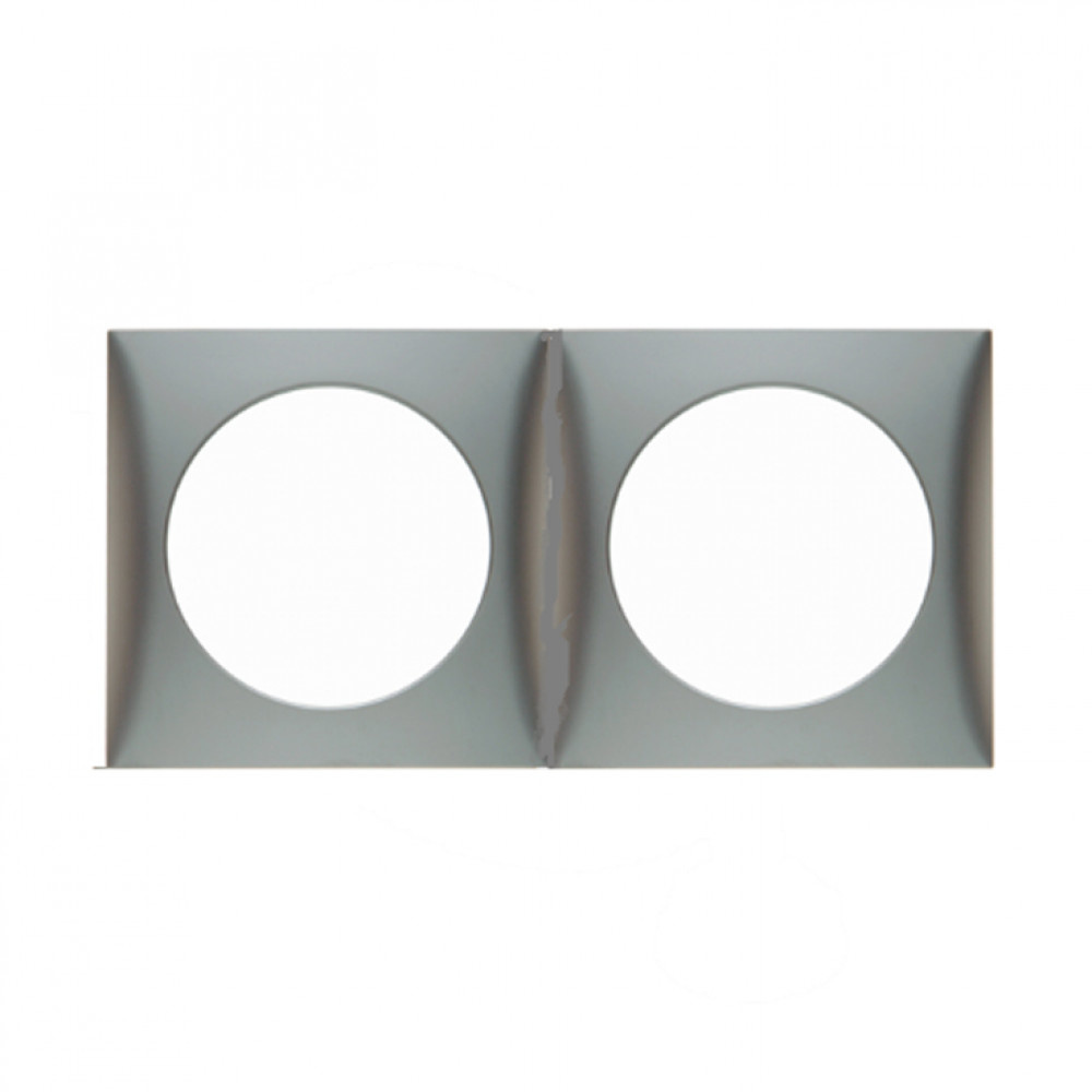 Berker Berker Afdekraam Flow 2-Vaks RVS Mat Gelakt