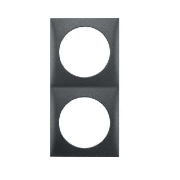 Berker Berker Afdekraam Flow 2-Vaks Antraciet Mat