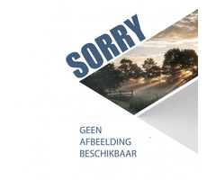 Reich Reich MoveControle Comfort/Economie Vergrendeling Links