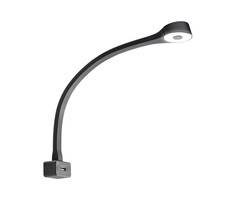 Fjord Outdoor LED Lamp met Zwanenhals F Flexibel 12V Zwart