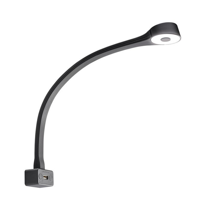 Fjord Outdoor LED Lamp met Zwanenhals F Flexibel 12V Zwart