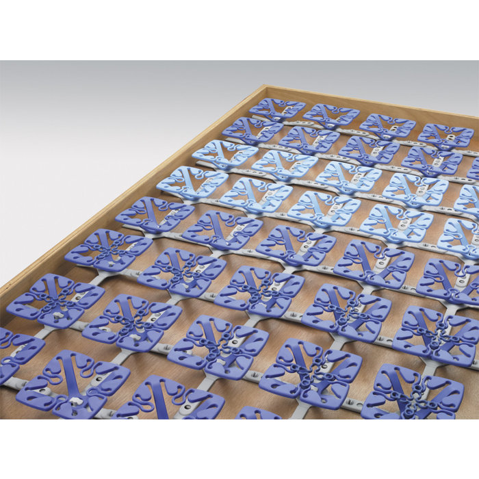 Froli Froli Star Bedsysteem Basis 70x200cm