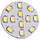 Vechline Lamp LED G4 2W/250Lumen/12Leds