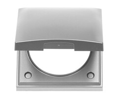 Berker 5 stuks Berker Afdekraam Flow/Pure 1-Vaks met Klep RVS Mat Gelakt