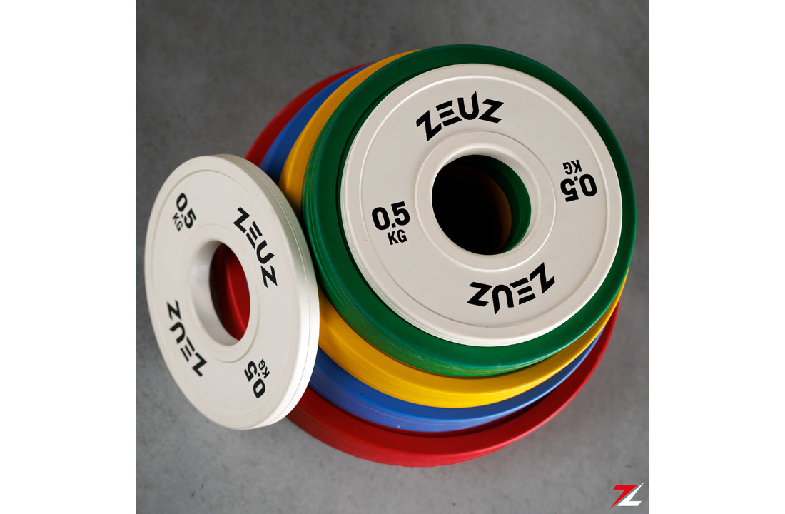 slecht Vaardig Vervolgen ZEUZ® Halterschijf 2 Stuks 2 KG – 4 KG Gewichten Set – voor 50 mm Halter –  Crossfit & Fitness – Metaal & Rubber - ZEUZ