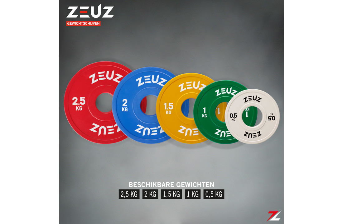In de genade van selecteer Ciro ZEUZ® Halterschijf 2 Stuks 2,5 KG – 5 KG Gewichten Set – voor 50 mm Halter  – Crossfit & Fitness – Metaal & Rubber - ZEUZ
