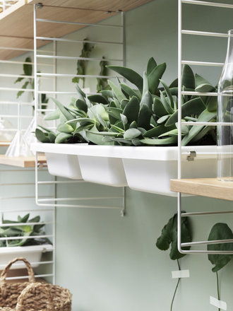 String String Bowl shelf String String Bowl shelf