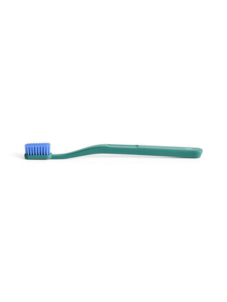 Hay Tann toothbrush