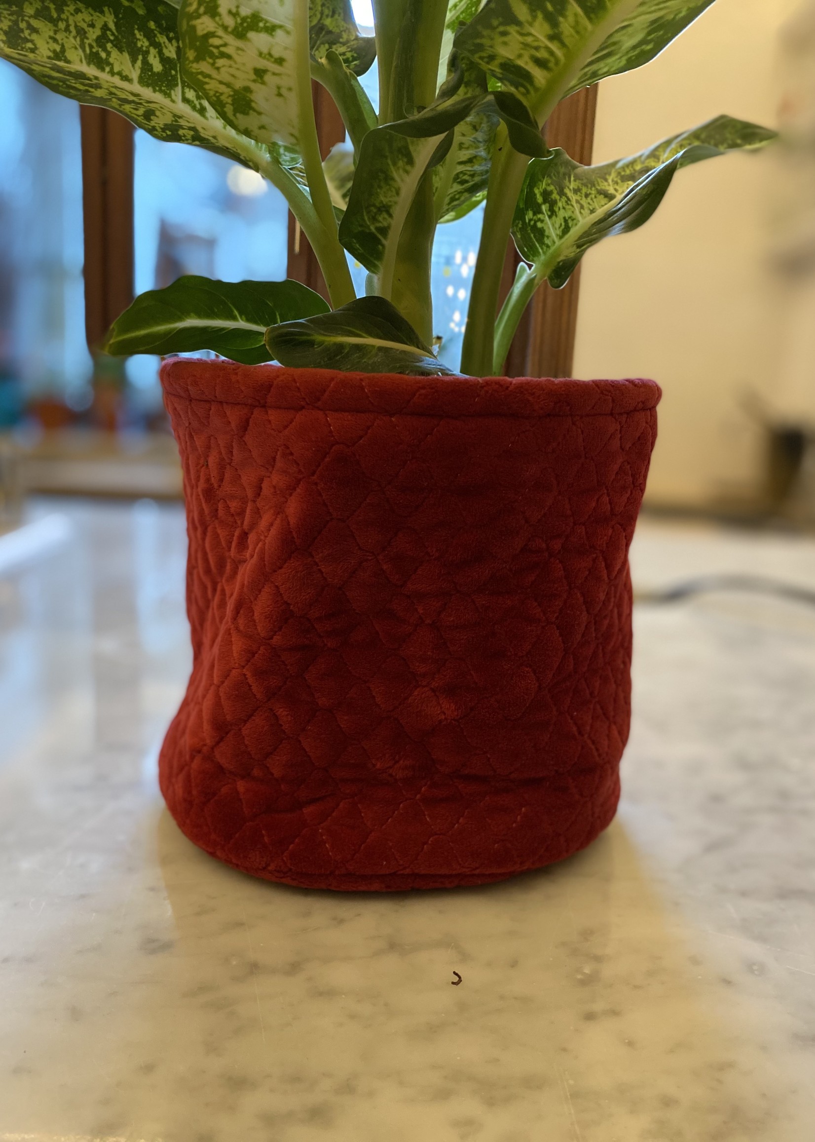 MAND RED VELVET ⌀21CM