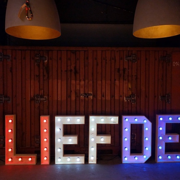 Losse fitting incl. afdichtring (niet geschikt met filament lampen)