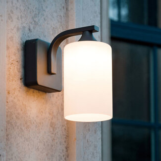 Moderne buitenwandlamp - Elmi