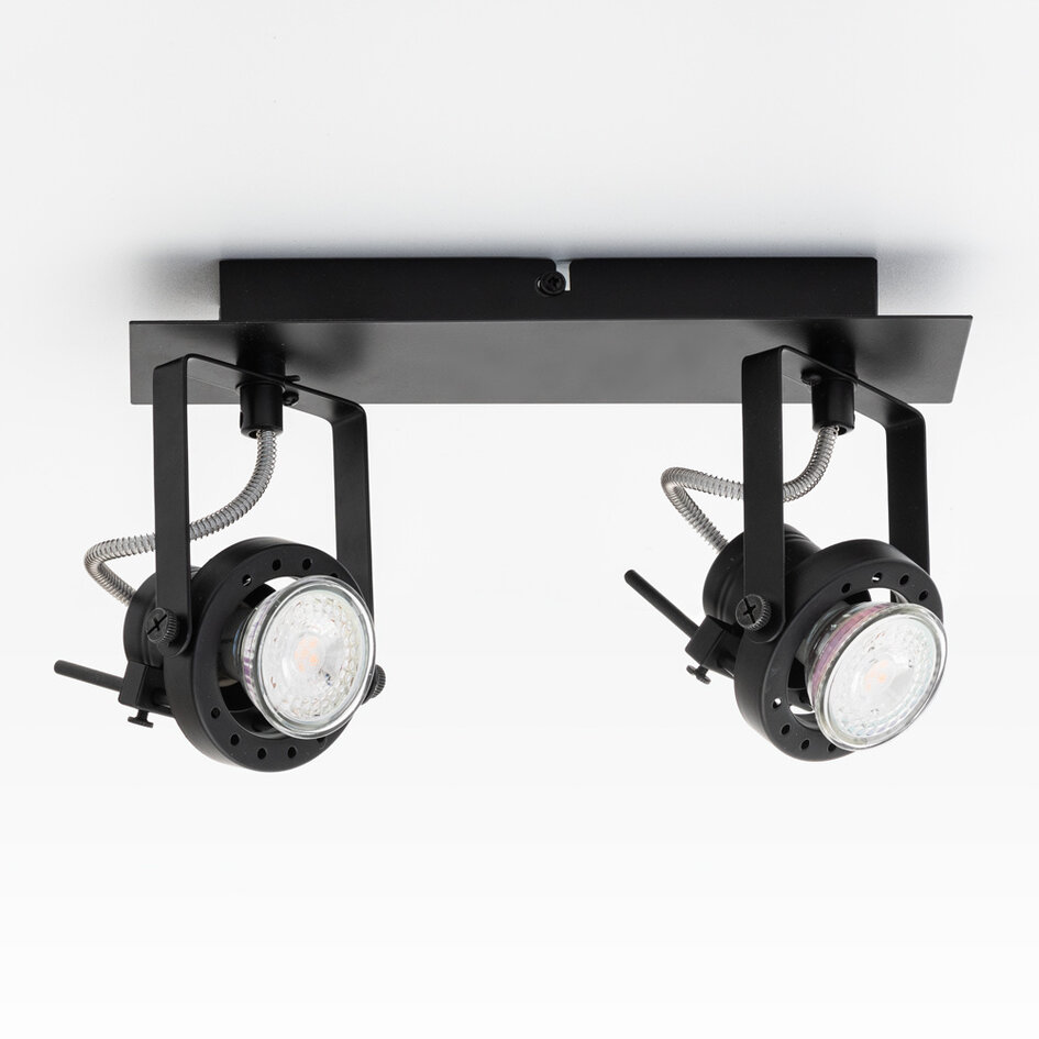Design plafondlamp Dayton 2-lichts, verstelbaar zwart