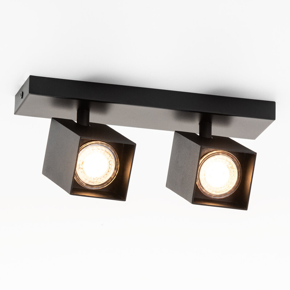 2-lichts industriële plafondlamp Cal