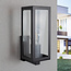 Buitenwandlamp Carlo - zwart RVS met glas
