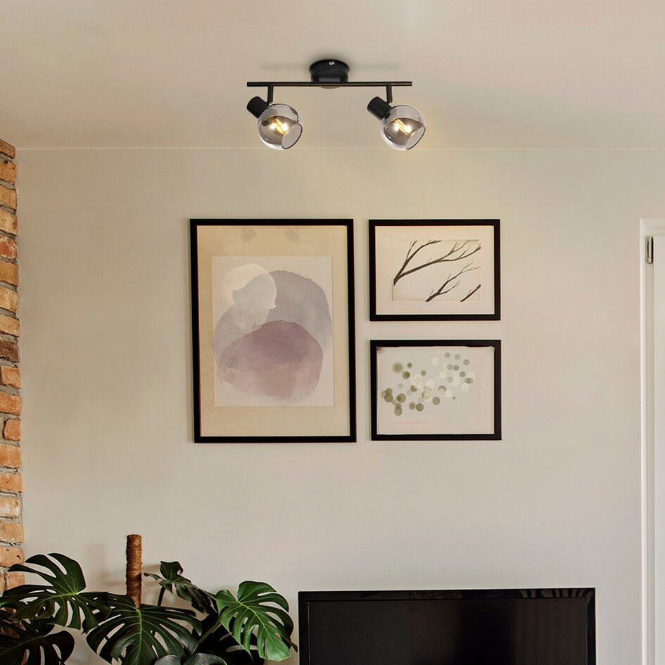 Plafondlamp met smoke glas en spiegeleffect, 2-lichts - Phoenix